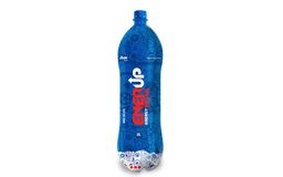 Enerup 2 L